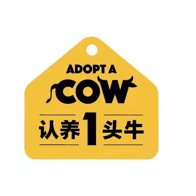 认养一头牛