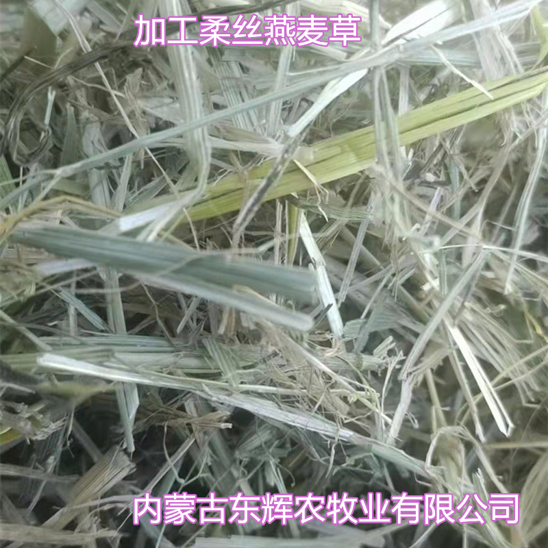 加工柔丝燕麦草