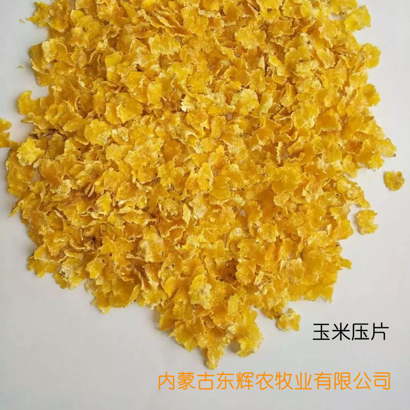 	玉米压片